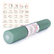 아리프 가든 EVA 폼롤러 + 운동 가이드 포스터, 리프그린, 1개