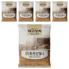 대구상회 호라산밀, 1kg, 5개