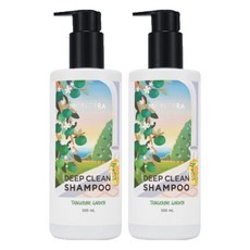 몽프라 딥 클린 샴푸 탠저린가든, 500ml, 2개