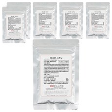 상상푸드시스템 어니언 시즈닝, 100g, 6개