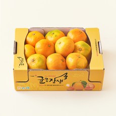 귤로장생 당도선별 10brix 감귤, 1.5kg(대과), 1박스