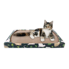 키플 캣 스크래처, 혼합 색상, 1개