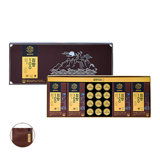 천지인 침향 100 혼합세트 + 쇼핑백, 1세트