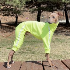 DOGGY STAR 義大利灰狗服 IG服 毛巾布 連身衣, 螢光黃