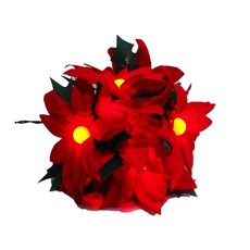 MODACore 摩達客 LED聖誕紅花珍珠燈串10燈 插電式 白光, 250cm, 1組