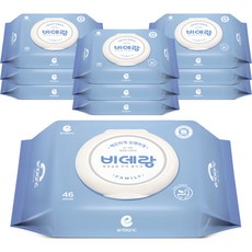 enblanc BIDET廁所專用濕式衛生紙 家庭版, 46張, 10包
