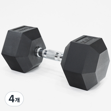 이고진 고무육각 덤벨, 22.5kg, 4개