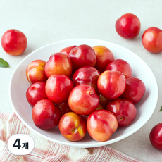 이로운 군위 당도선별 꼬마 대석 자두, 2kg, 4개