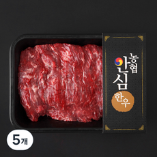 농협안심한우 한우 양지 덩어리 1등급 수육 국거리 장조림용 (냉장), 600g, 5개