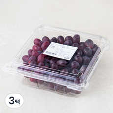 다조은 칠레산 씨없는 적포도, 1.2kg, 3팩