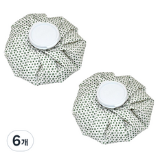 살림핏 냉온 방수 아이스팩 찜질주머니 눈꽃 15cm, 6개