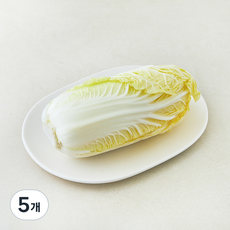전남 진도 알배기, 450g, 5개, 1개입