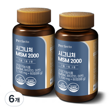 퍼펙토 시그니처 MSM 2000 영양제, 60정, 6개