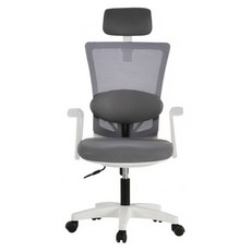 BareunLab 姿勢矯正學習辦公電腦椅 頭枕腰靠款, 白色 + 深灰色