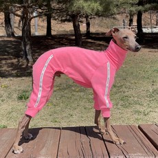 DOGGY STAR 義大利格雷伊獵犬服飾 IG服飾 毛巾布 連身衣, 螢光粉