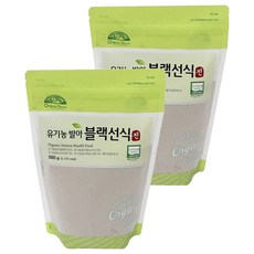 오가닉스토리 유기농 발아블랙선식 진, 2개, 500g