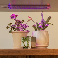 루아즈 붙이는 LED바 식물 성장 생장 조명 식물등 33cm 2헤드, 레드 + 퍼플 + 블루