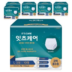 잇츠케어 남녀공용 성인기저귀 팬티형, 대형, 10개입, 6개