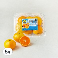 바당바름 10brix 감귤, 5개, 500g(로열과)