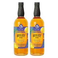 포모나 믹솔로지 진저 & 레몬 시럽, 1L, 2개