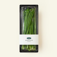 프리미엄 조선 부추, 150g, 1개