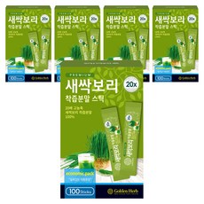골든허브 프리미엄 새싹보리 착즙분말, 100g, 5개