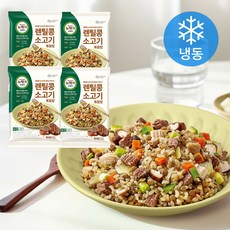 뉴케어 당플랜 렌틸콩 소고기 볶음밥 (냉동), 300g, 4개