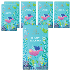 쌍계명차 티클립스 머스캣 홍차, 20개입, 6개, 1.5g