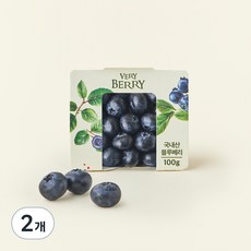 국내산 유레카 블루베리 특, 2개, 100g