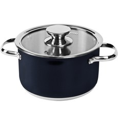 QUEEN SENSE IH爐適用不鏽鋼雙耳湯鍋+玻璃鍋蓋, 黑色, 20cm