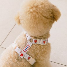 PETSLAND 狗狗 Heart Pop H型胸背帶, 香草奶油, 1個