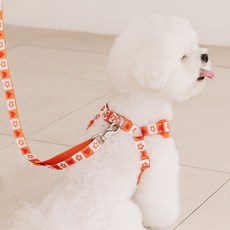 PETSLAND 狗狗愛心pop胸背帶+免持牽繩組, 1組, 橙色