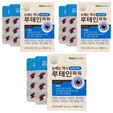 뉴트리가든 눈에는 역시 루테인 파워, 3개, 15g