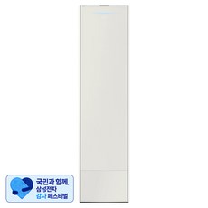 [삼성 감사 페스티벌] 삼성전자 인버터 81.8㎡(24.8평) BESPOKE 무풍 갤러리 에어컨 청정 스탠드형 일반배관 방문설치, AF25DX936VFT, 일반배관형