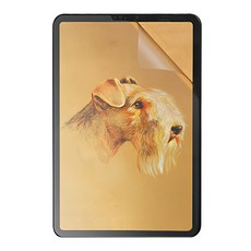 Sinjimoru 類紙膜螢幕保護貼 2片組, 2個, 類紙質 透明色