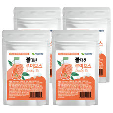 해밀생활건강 물대신 루이보스티, 700mg, 20개입, 4개
