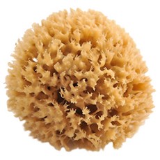 蜂巢型海綿身體清潔刷 S號, 棕色的, 1個