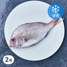 통영원 국내산 손질 참돔 (냉동), 2개, 350g