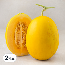 아주마 산지직송 고령 골드 하미과 메론, 1.1kg, 2박스