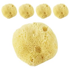 Beautiful Skinc孩童沐浴用海綿 M號, 單色, 5個