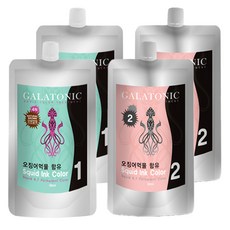 갈라토닉 스퀴드 잉크 칼라 새치염색제 1제 500ml + 2제 500ml, 4N자연갈색, 2개