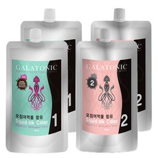 갈라토닉 스퀴드 잉크칼라 새치염색 1제 500ml + 2제 500ml, 3N짙은갈색, 2개