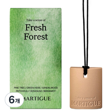 Martigue 車用香氛陶土擴香瓶, 6個, 清新森林