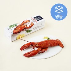 캐나다산 자숙 랍스터 (냉동), 600g 내외, 1개