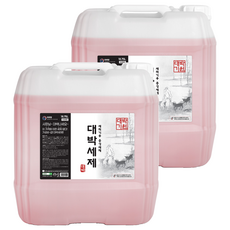 대박세제 식기세척기용 중성세제, 18.75L, 2개