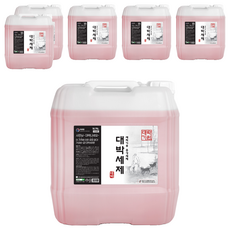대박세제 식기세척기용 중성세제, 18.75L, 6개