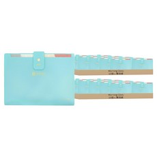 Morning Glory 4500 Clever 8格簡易文件夾, 20個, 薄荷綠