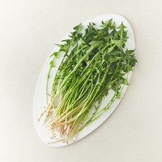 국내산 민들레 나물, 1개, 150g 1개, 150g