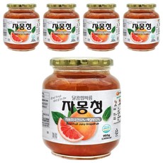 견과공장 자몽청, 950g, 1개입, 5개