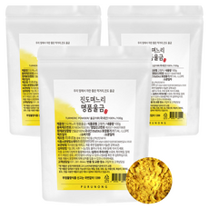 진도며느리 명품 울금가루, 100g, 3개